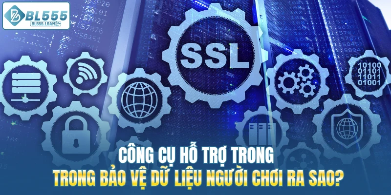 công cụ hỗ trợ bảo vệ hội viên