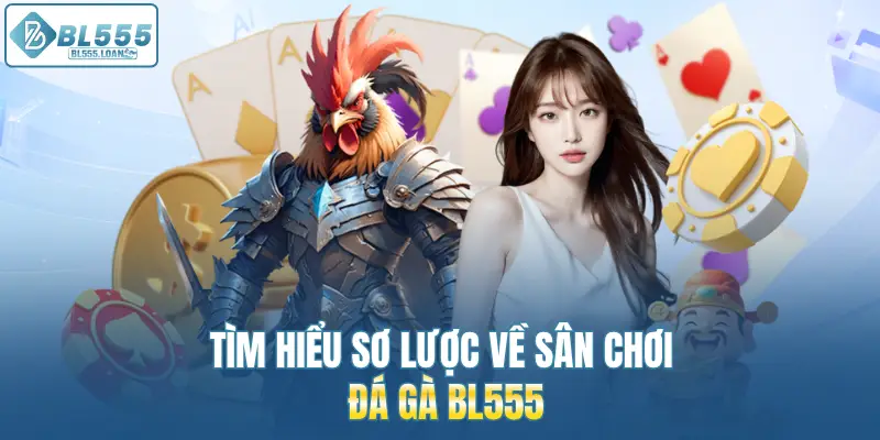 tìm hiểu sơ lượt về sân chơi đá gà